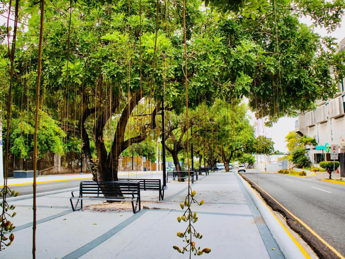 Super Luxurious L6 Sky Blue Apartment Santo Domingo Exteriör bild