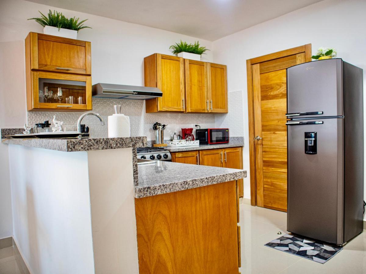 Super Luxurious L6 Sky Blue Apartment Santo Domingo Exteriör bild